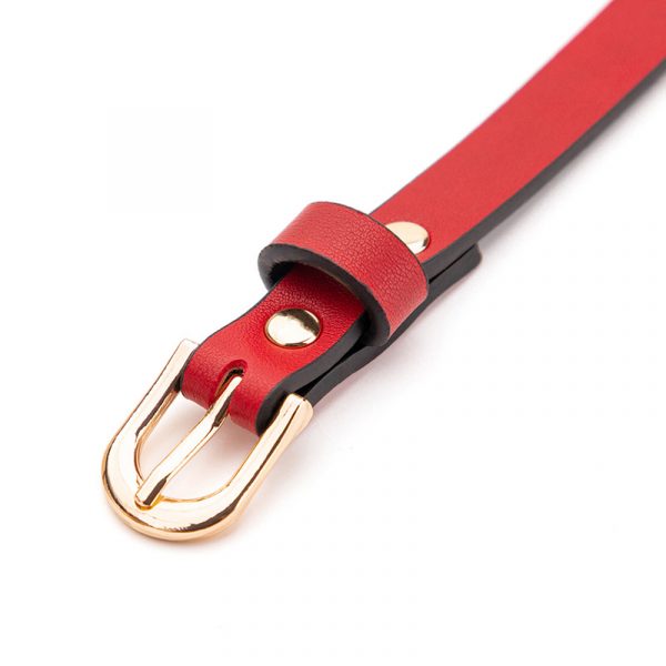 Ball Gag - Image 5