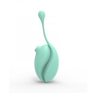 Suction Vibrating Egg Set