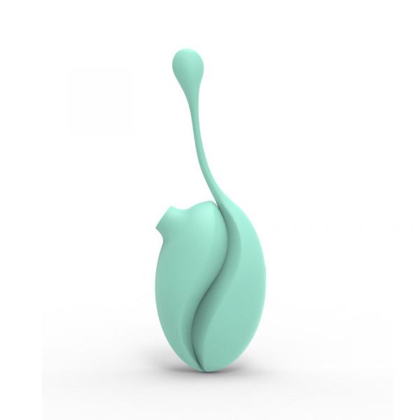 Suction Vibrating Egg Set